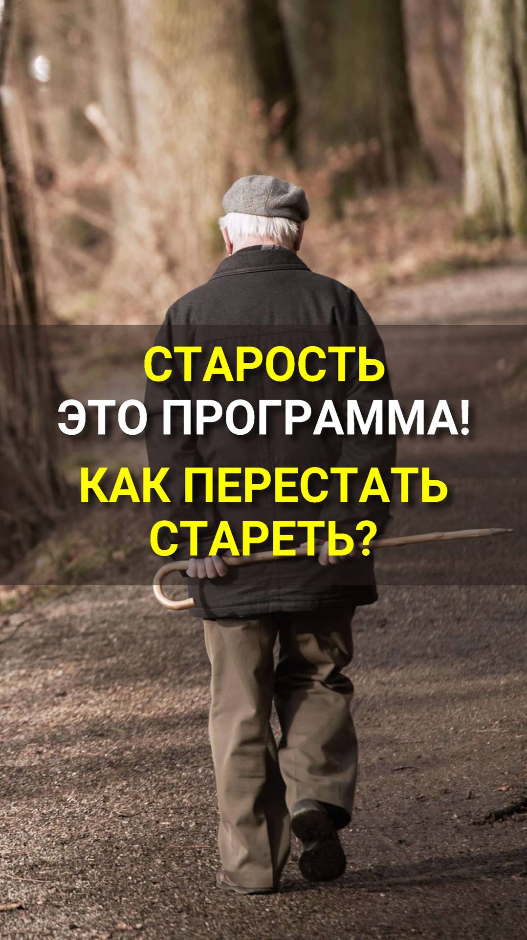 Как перестать стареть?