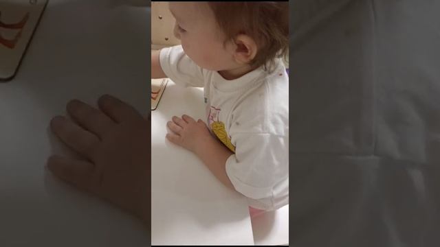 животные и звуки