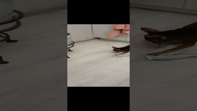 1000021809.mp4