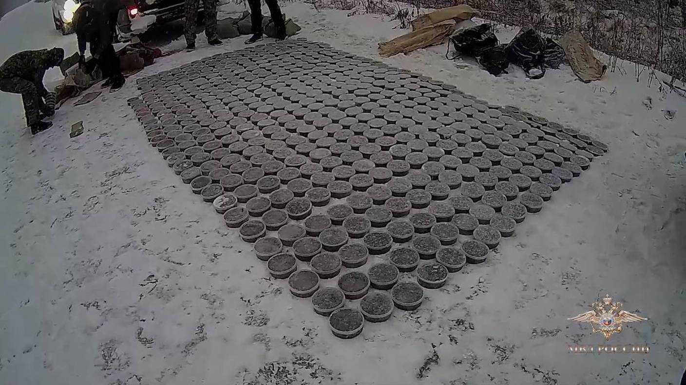 В Хабаровском крае полицейские изъяли из незаконного оборота особо ценные породы рыб