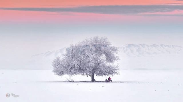 Зима пришла в Синьцзян