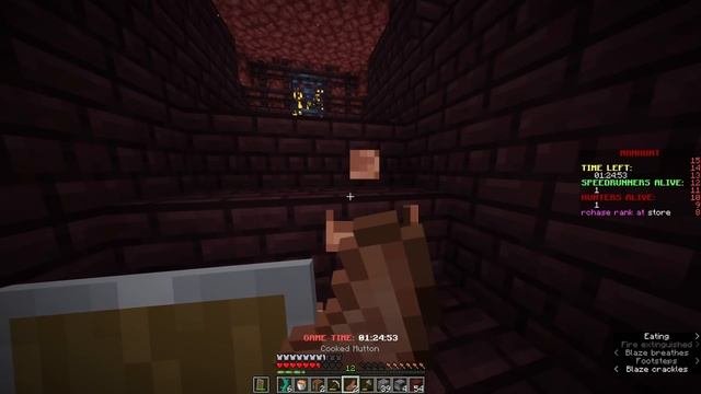 Minecraft Manhunt, But The Hunter Is Random...