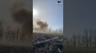 Вот такое у нас доброе утро.