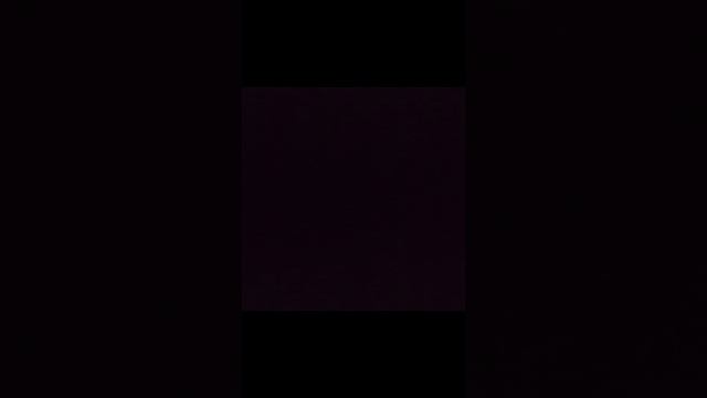 1000012077.mp