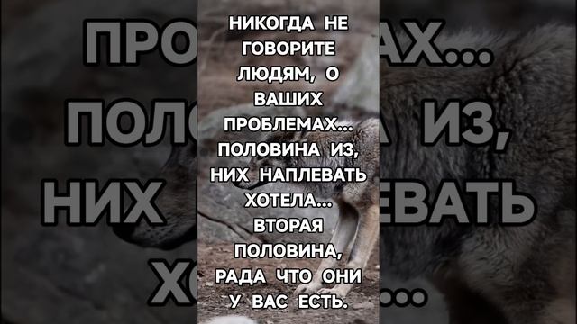 https://youtube.com/@yyuh-j9y?si=BdqrI1tqQKXZ8N67