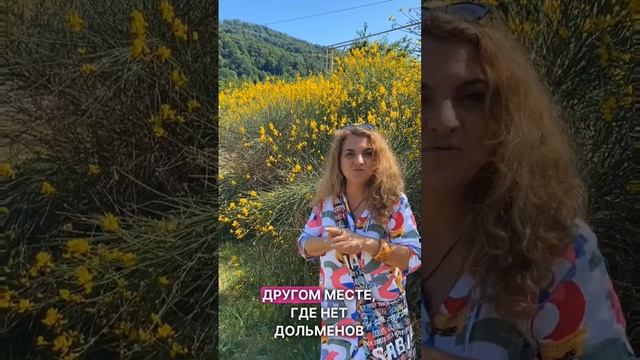 Лимон и лимонад. В чём разница?
