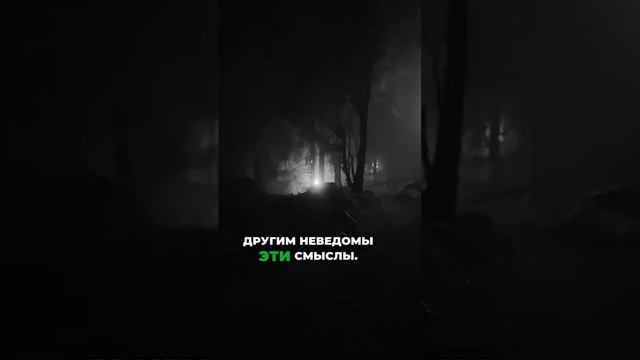 Жми⬆️Откройте для себя тонкости хитрости! 🤔 #философия #психология