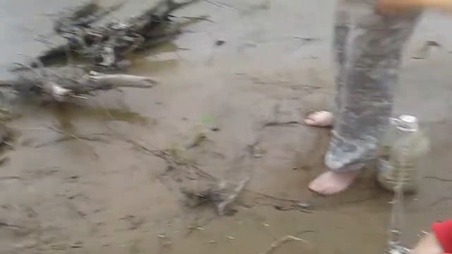 TURTLE . ЧЕРЕПАХА