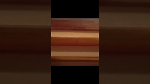 1000043555.mp4