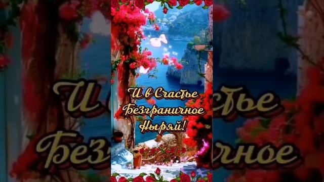 Video.Guru_20241204_150850020.mp4