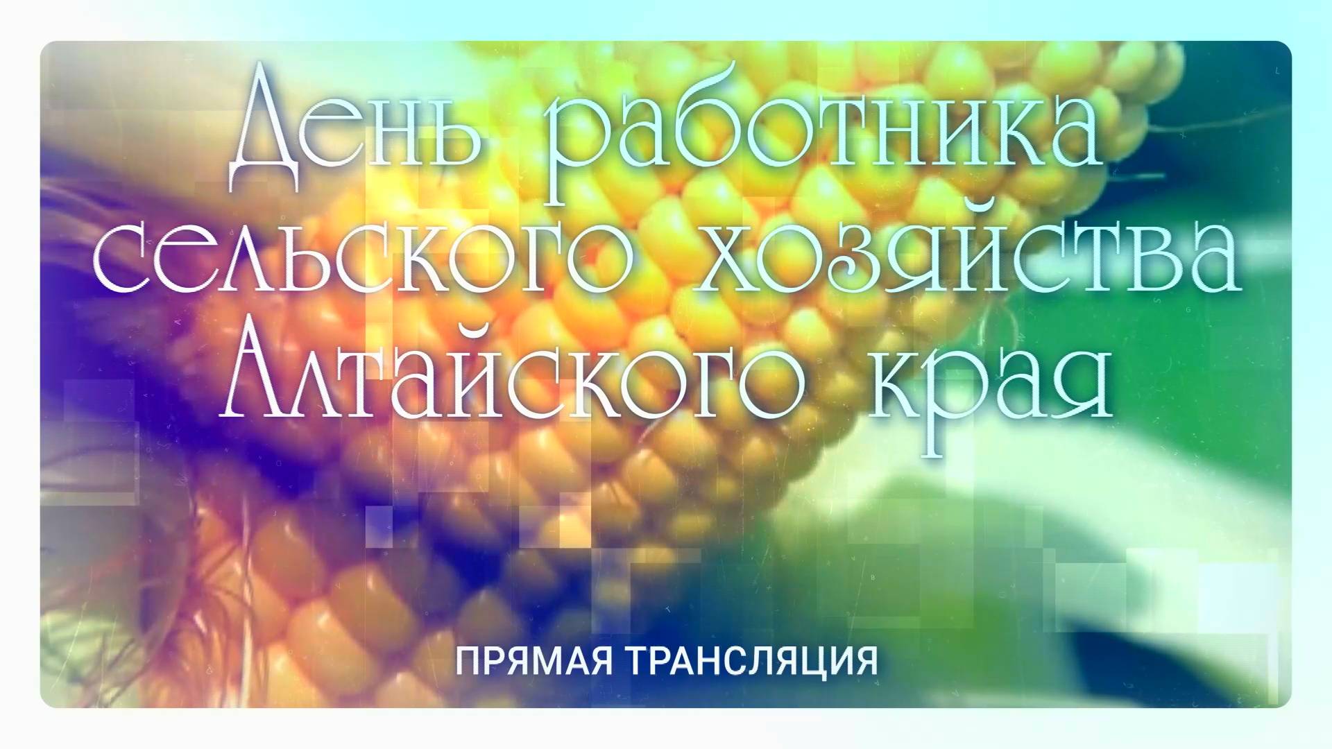 Прямая трансляция: День работника сельского хозяйства Алтайского края