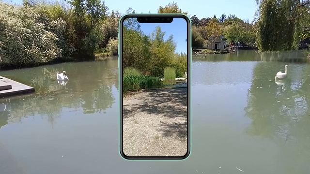 Парк Южные культуры в Адлере