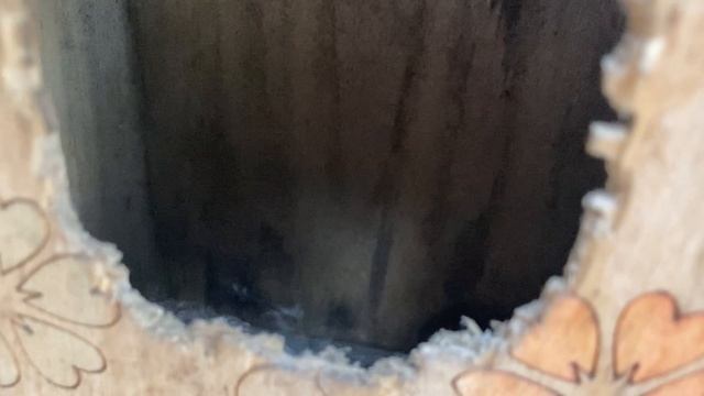 Зимняя прогулка по набережной города Каспийска 🌊🌊🐬🐬