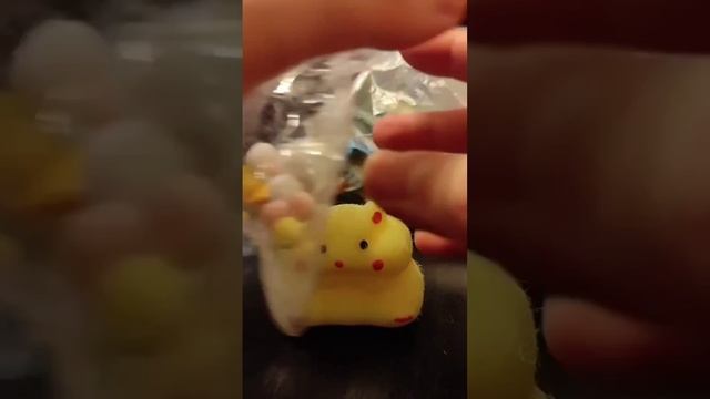 подруга заказала сквиш.mp4