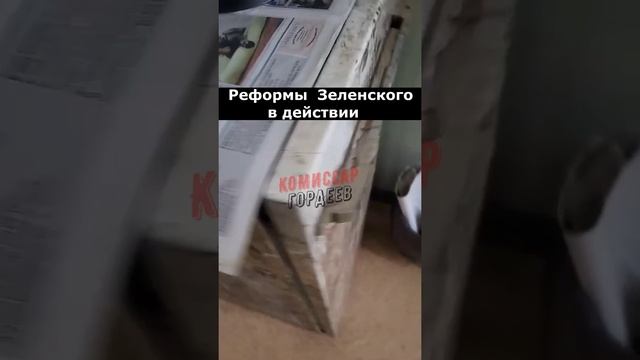 Реформы, подозрительно напоминающие геноцид🤔