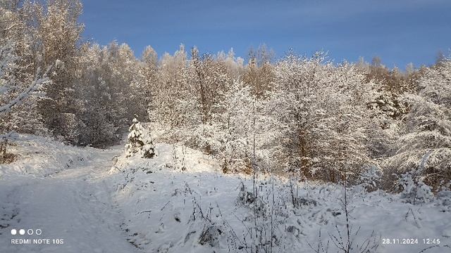 Белая зима.