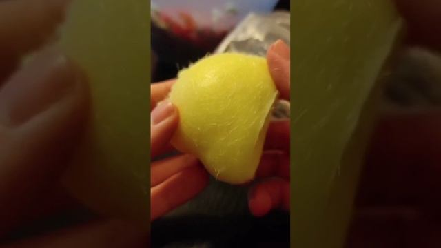 хомячок сквиш.mp4