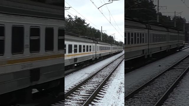 Электропоезд ЭД4М-0473 (ЦППК, ТЧПРИГ-20) пригородный поезд №6729/6730 Электрогорск - Лесной Городок.
