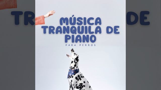 Tempo Lento De Piano Para Sanación