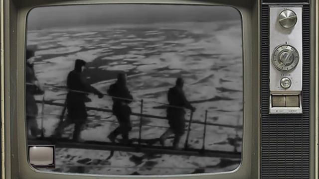 Летопись Полувека. Год 1955