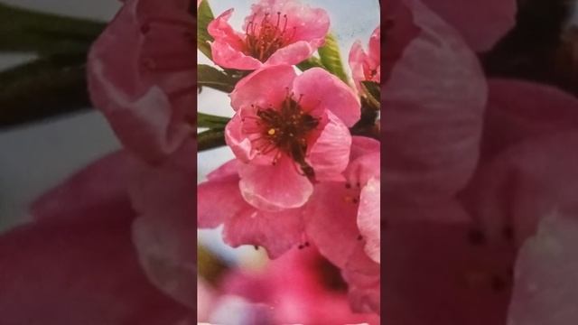 Как взаимосвязано духовное и материальное, рассказывает Хакимов