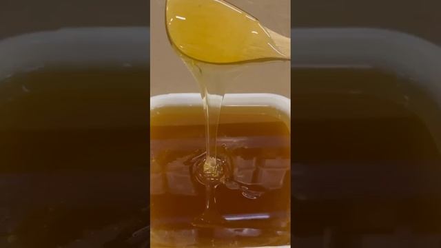 Акация желтая (Алтайская)