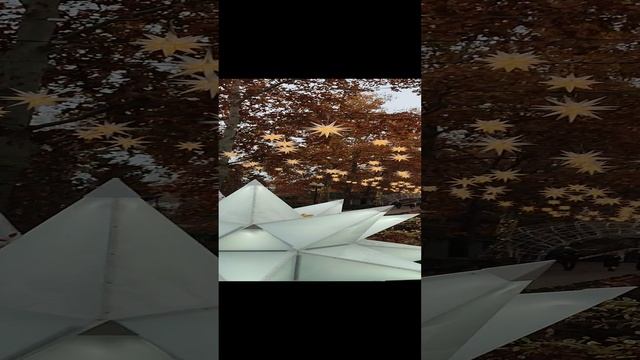Крайние дни ноября в Краснодаре