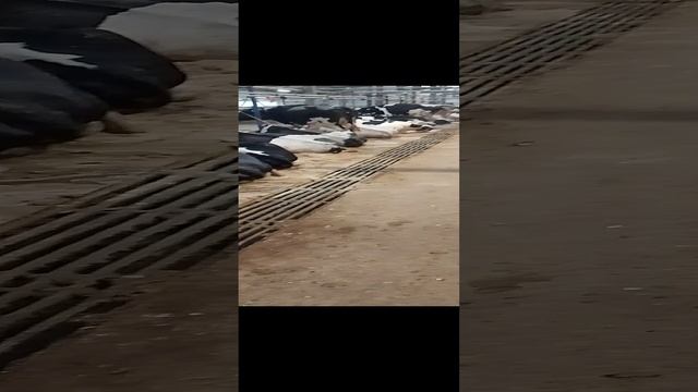 на новой работе.