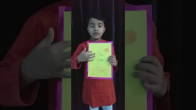 speech on photosynthesis