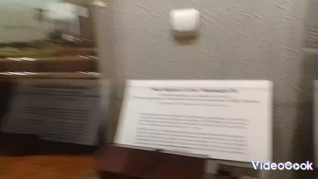 Я на выставке поездов🚊