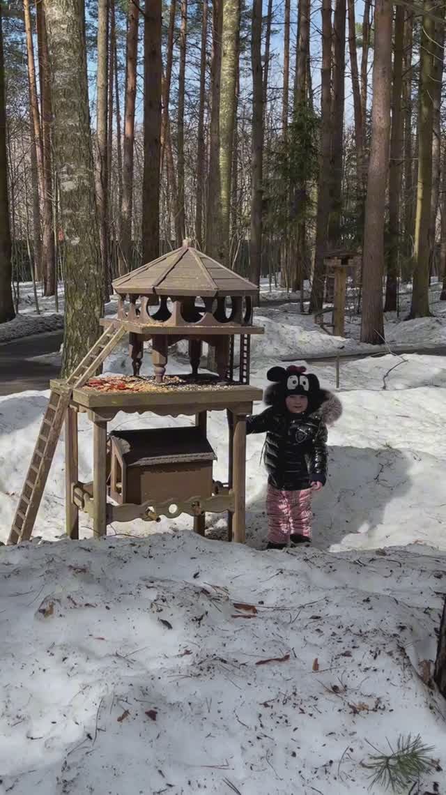 Прогулка по лесу 🌳🌳🌳 #2ода