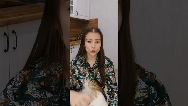 Give, самые важные фразовые глаголы