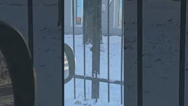 1000016128.mp4