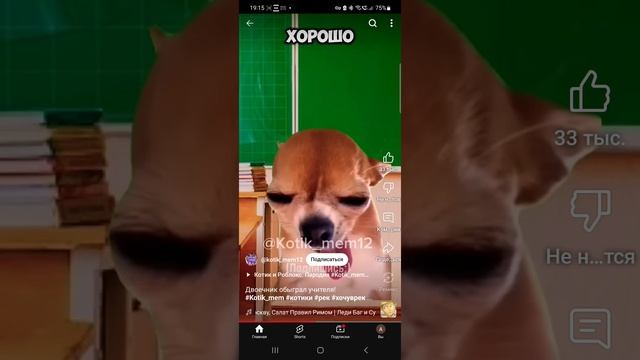 смешное видео