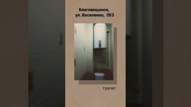 VID-20241204-WA0295.mp4