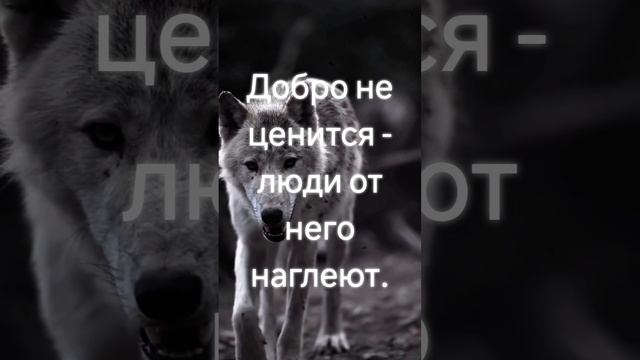 https://youtube.com/@yyuh-j9y?si=BdqrI1tqQKXZ8N67