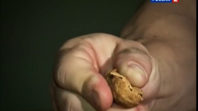1000001276.mp4