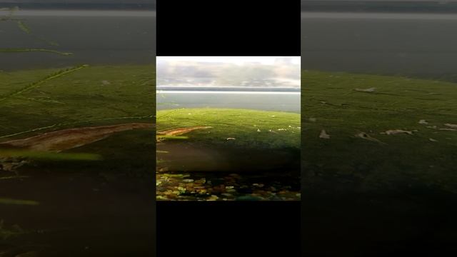 VID_20241026_114859.3gp