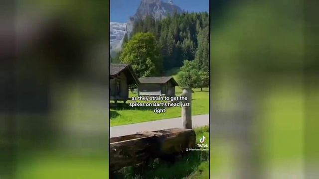 Best video of Tik Tok! 04.12.24 / 03