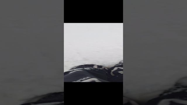 1000034447.mp4