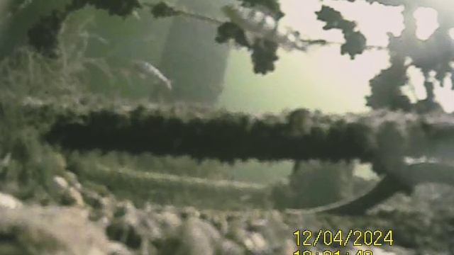 1000034465.mp4Волга гл.5м.04.12.2024г.