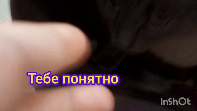 я и мой кот