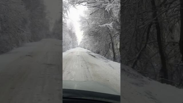 Анекдот про карася