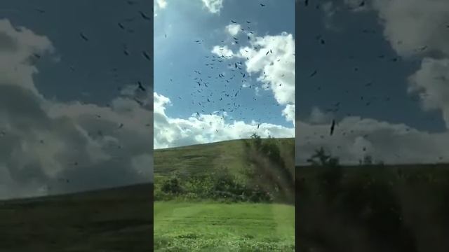 похоже на очередной глюк в Матрице.