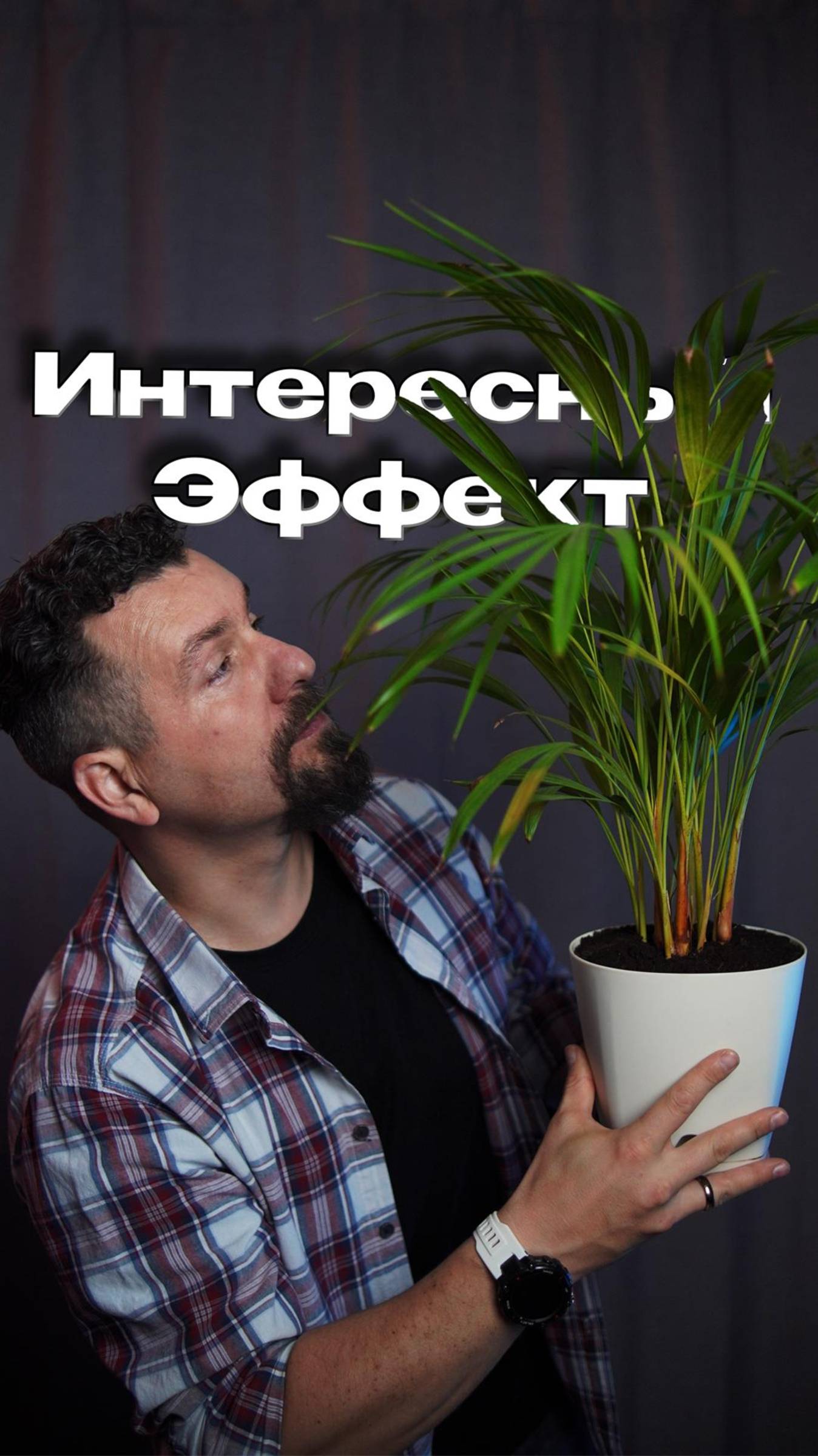 Интересный эффект