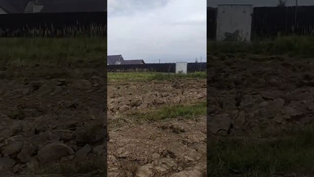 копаю на новом поле