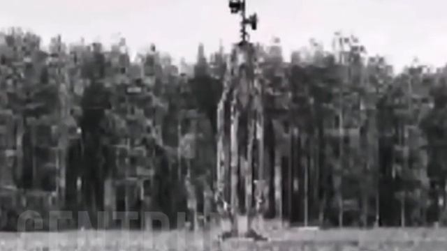 звуки серена-головыва (2/2)