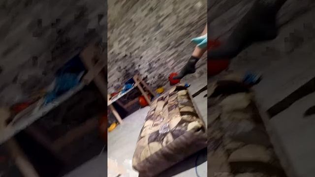 смотрю мультик с сестрой