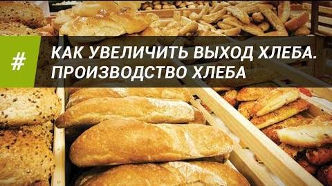 КАК УВЕЛИЧИТЬ ВЫХОД ХЛЕБА, ПРОИЗВОДСТВО ХЛЕБА