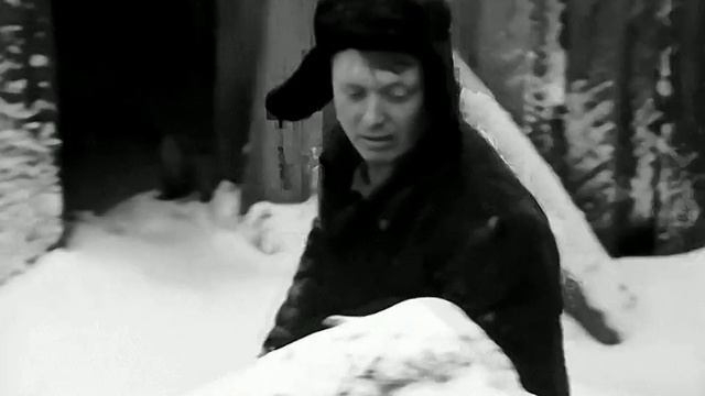1969 год. Тюмень. Лесопромышленный комбинат. Погрузка леса в вагоны
